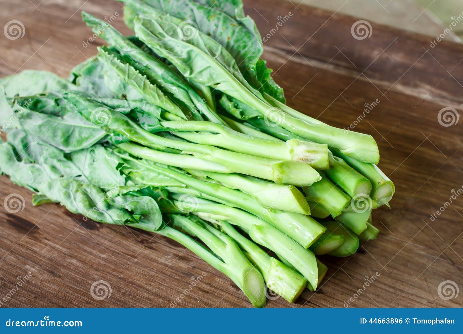 Kale Vegetable (Chinese Broccoli ) Stock Photo Image of china