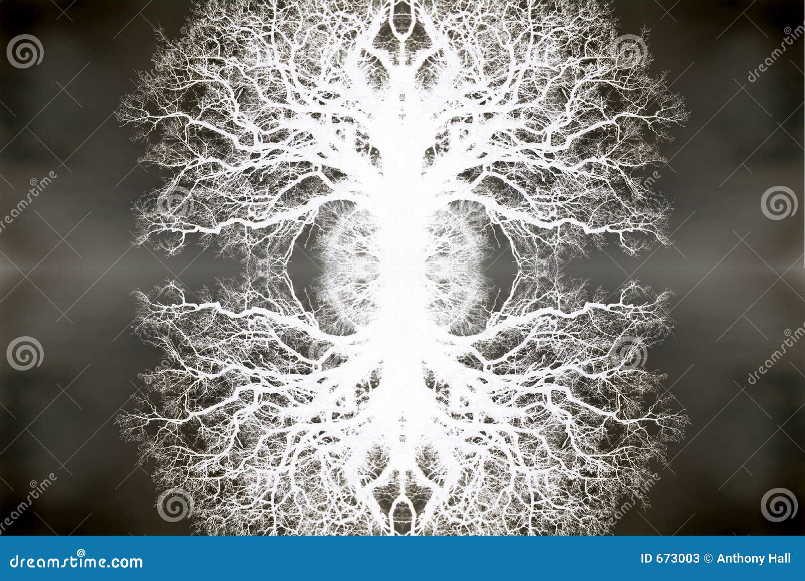 kaleidoscope 3