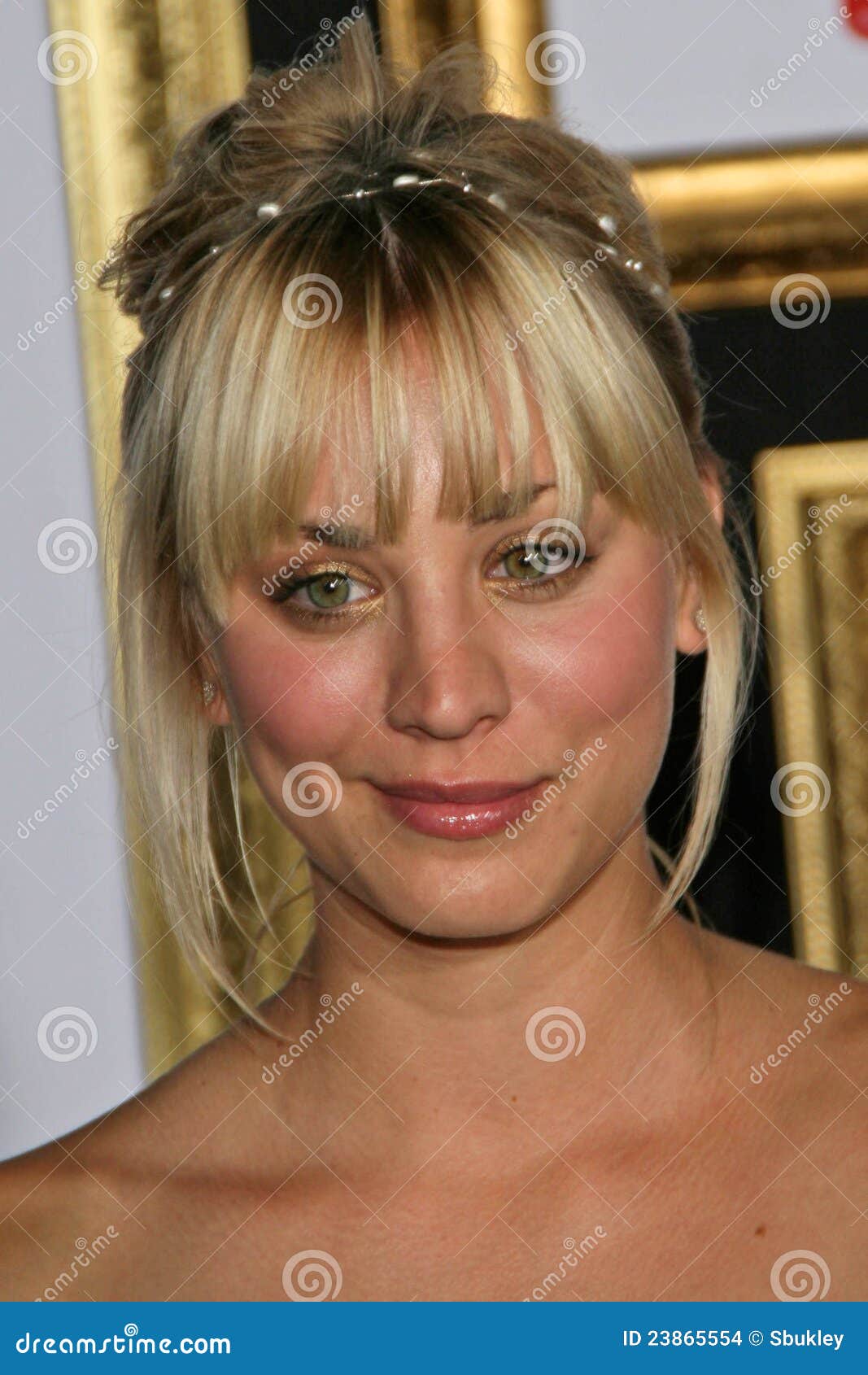 Kaley Cuoco editorial stock image. Image of kaley, guide - 23865554
