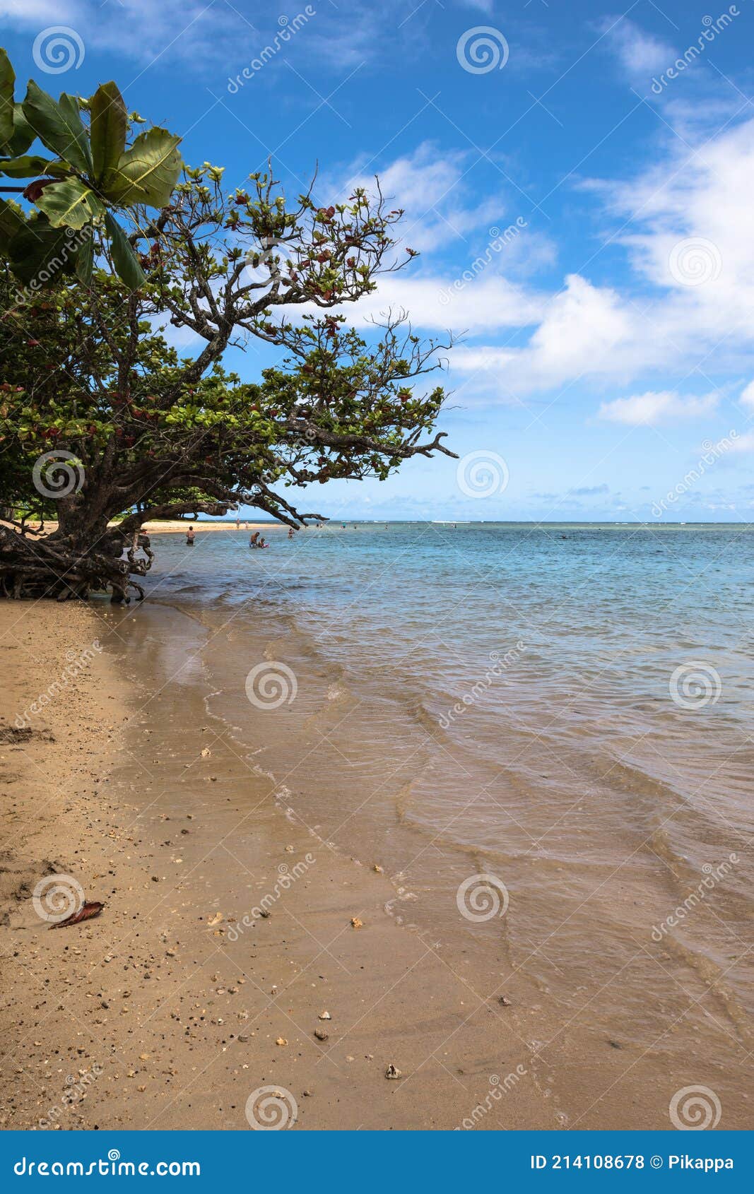 Sand Beach Along Kalihi Kai Park Coast, Kauai, Hawaii, USA Stock Photo