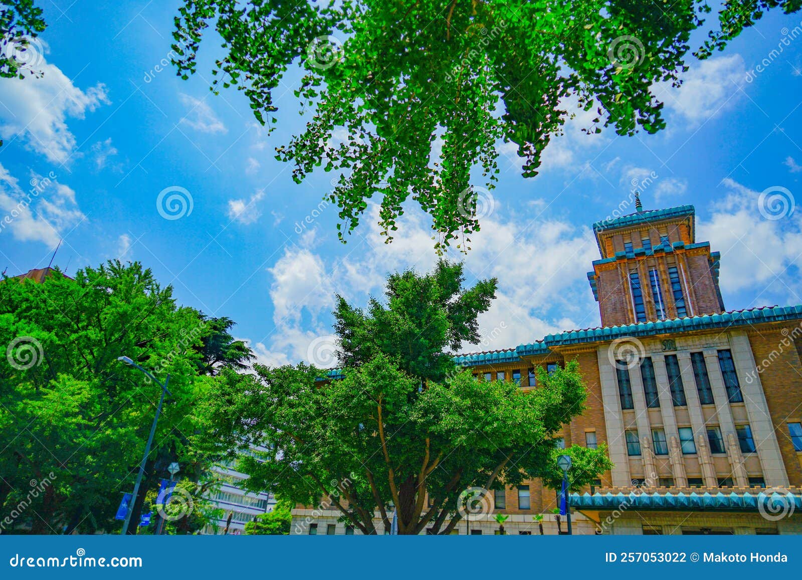 Kanagawa Prefectural Office and Fresh Green Stock Photo Image of