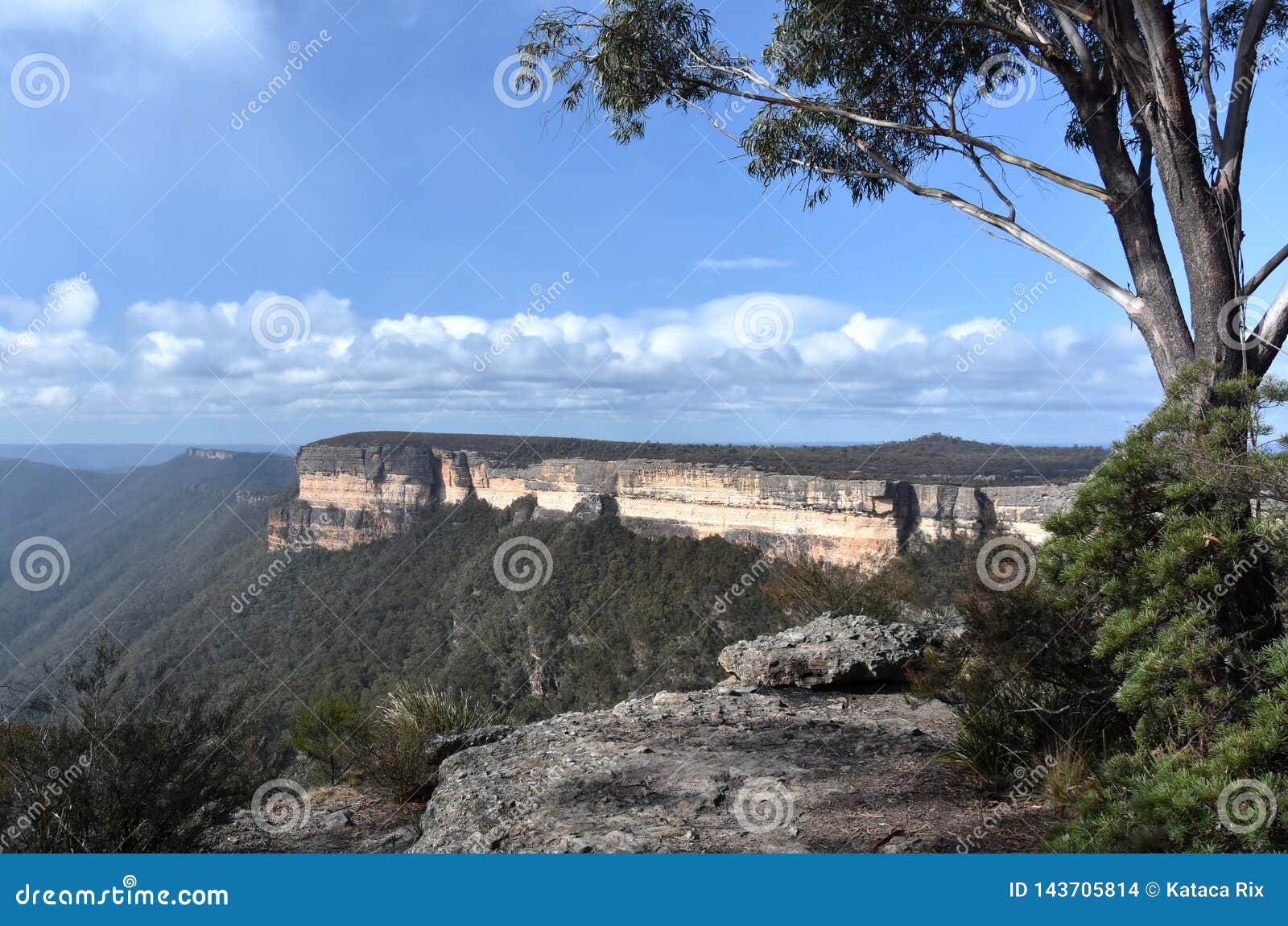 kanangra walls in kanangra-boyd national park