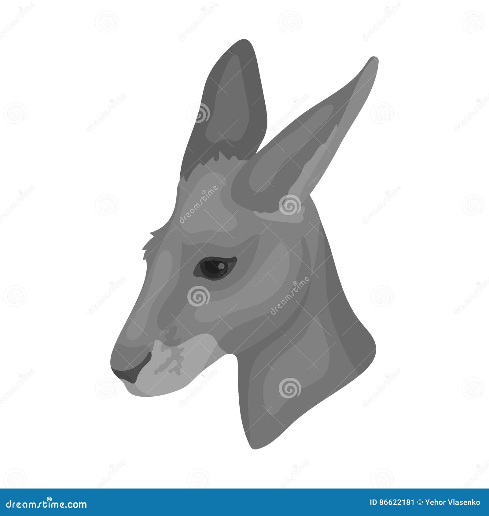 kangaroo icon in monochrome style  on white background. realistic animals  stock  .
