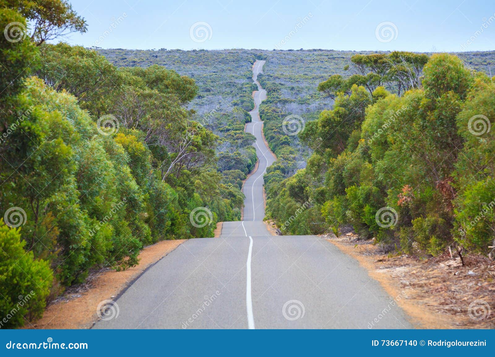 Kangaroo Island Road South Australia Stock Photo - Image of wine, pristine:  73667140