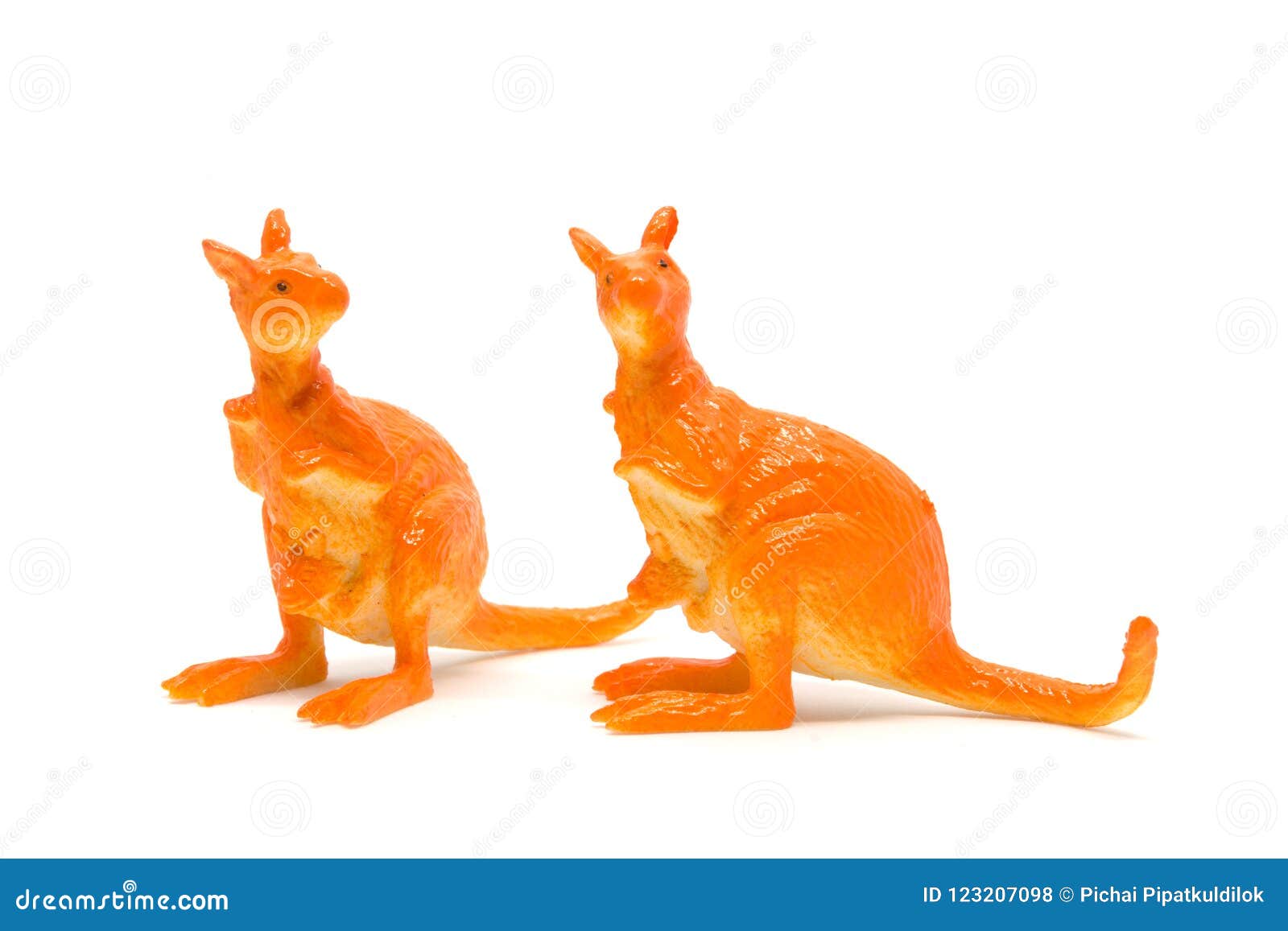 Kangaroo Model Isolated on White Background, Animal Toys Plastic Stock