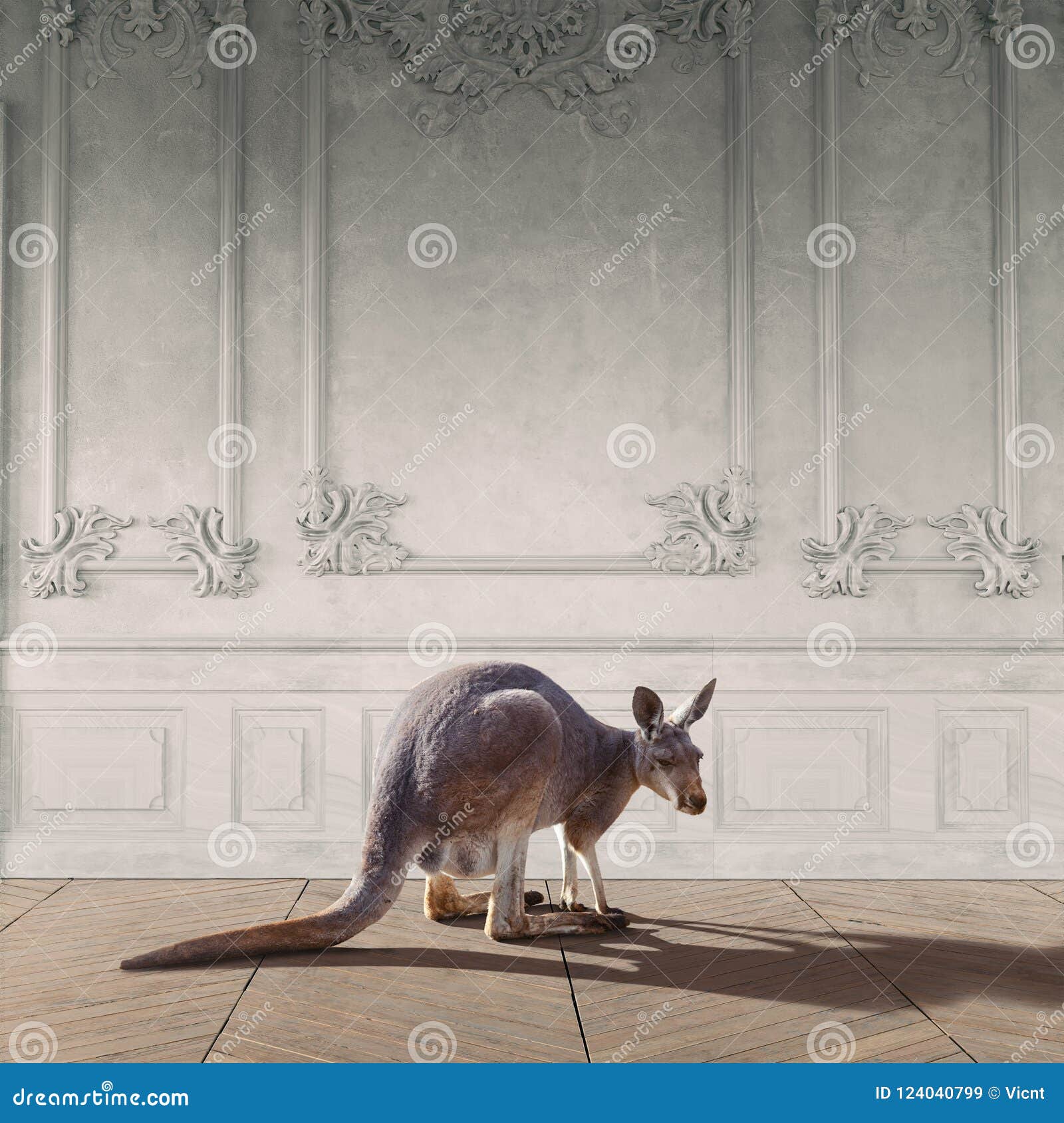 Kangaroo in the room stock illustration. Illustration of happy 124040799