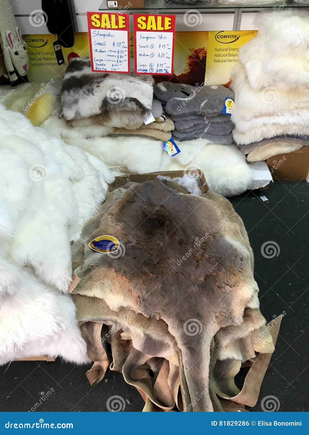 Kangaroo skin editorial photo. Image of dark, texture 81829286