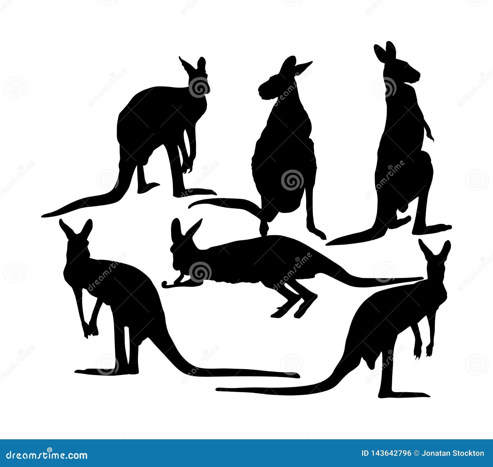 Download Kangaroo Vector Silhouette Illustration Isolated On White Background. Australian Animal Portrait ...