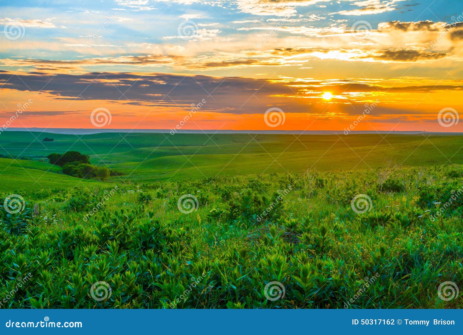 kansas sunset in the flint hills