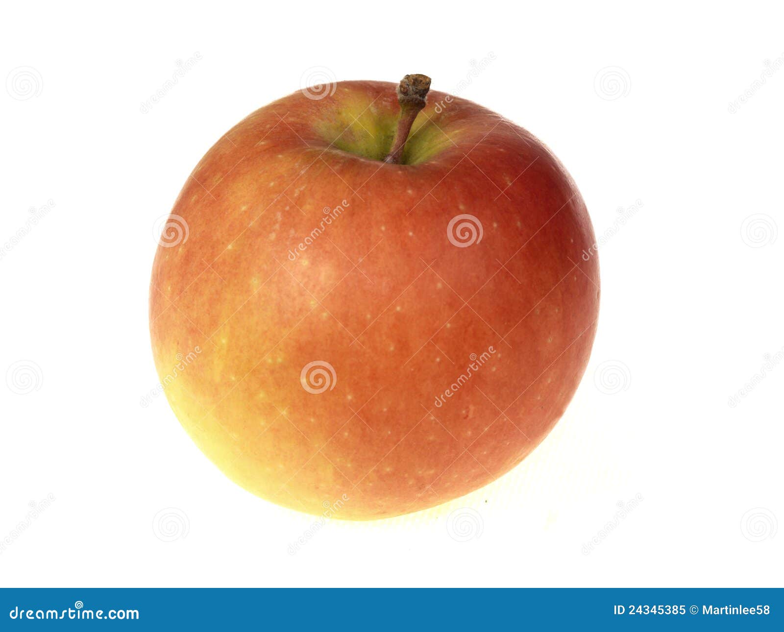 Kanzi Red Apple stock image. Image of vivid, plant, fresh 24345385