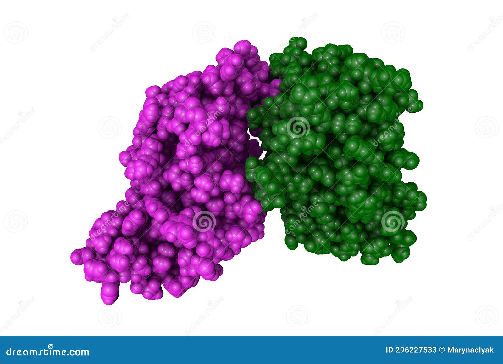 kaposi's sarcoma-associated herpesvirus protease. rendering with differently colored protein chains. 3d 