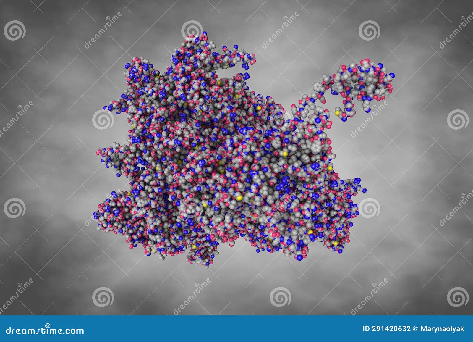 kaposi's sarcoma-associated herpesvirus, c5 portal vertex structure. space-filling molecular model. 3d 