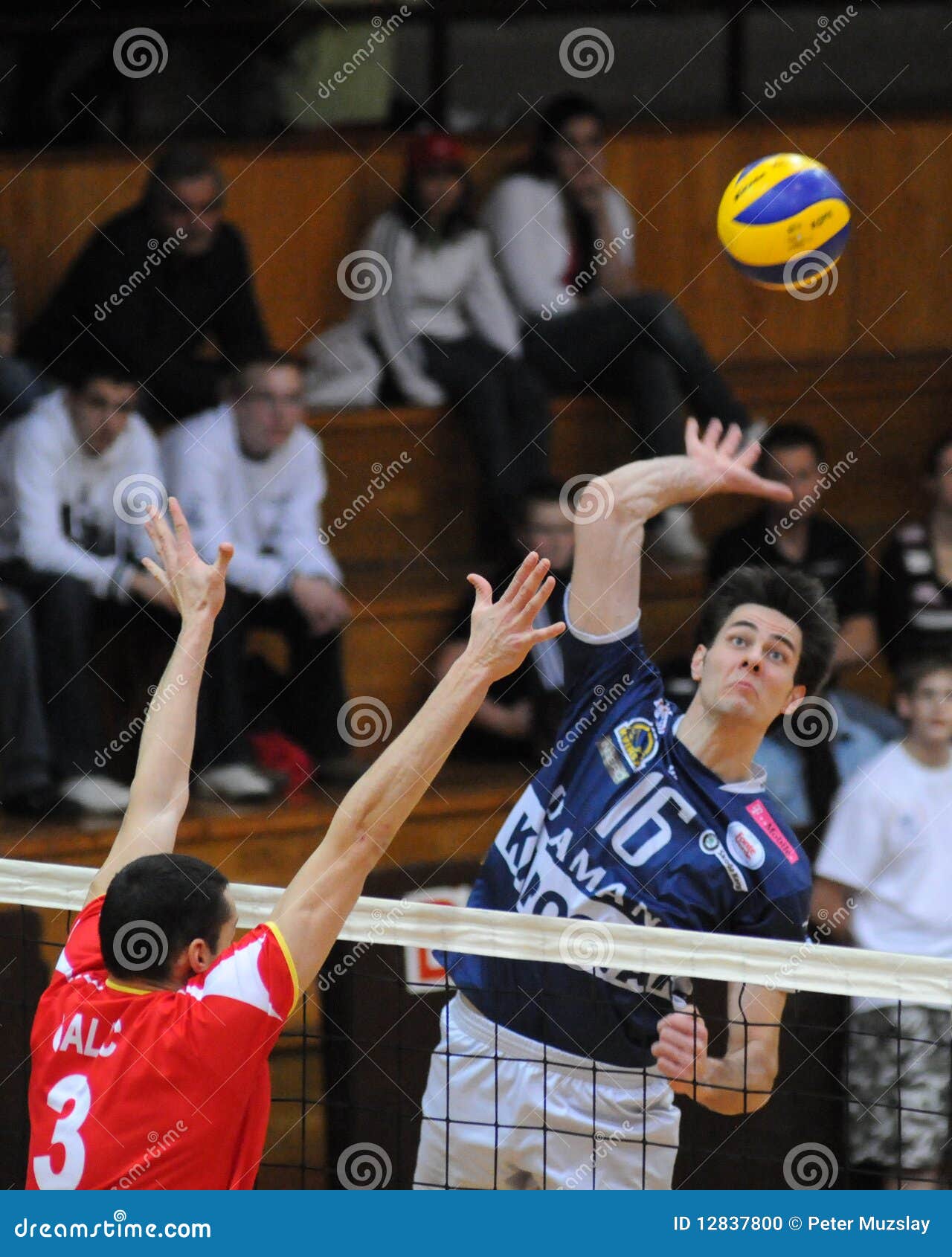 Kaposvar - Mladost Zagreb Volleyball Game Editorial Image - Image of ...