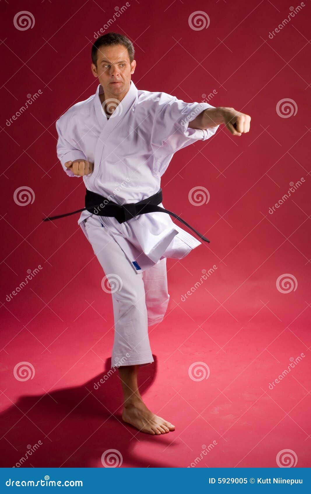 Karate stock image. Image of arts, stance, posing, kimono - 5929005