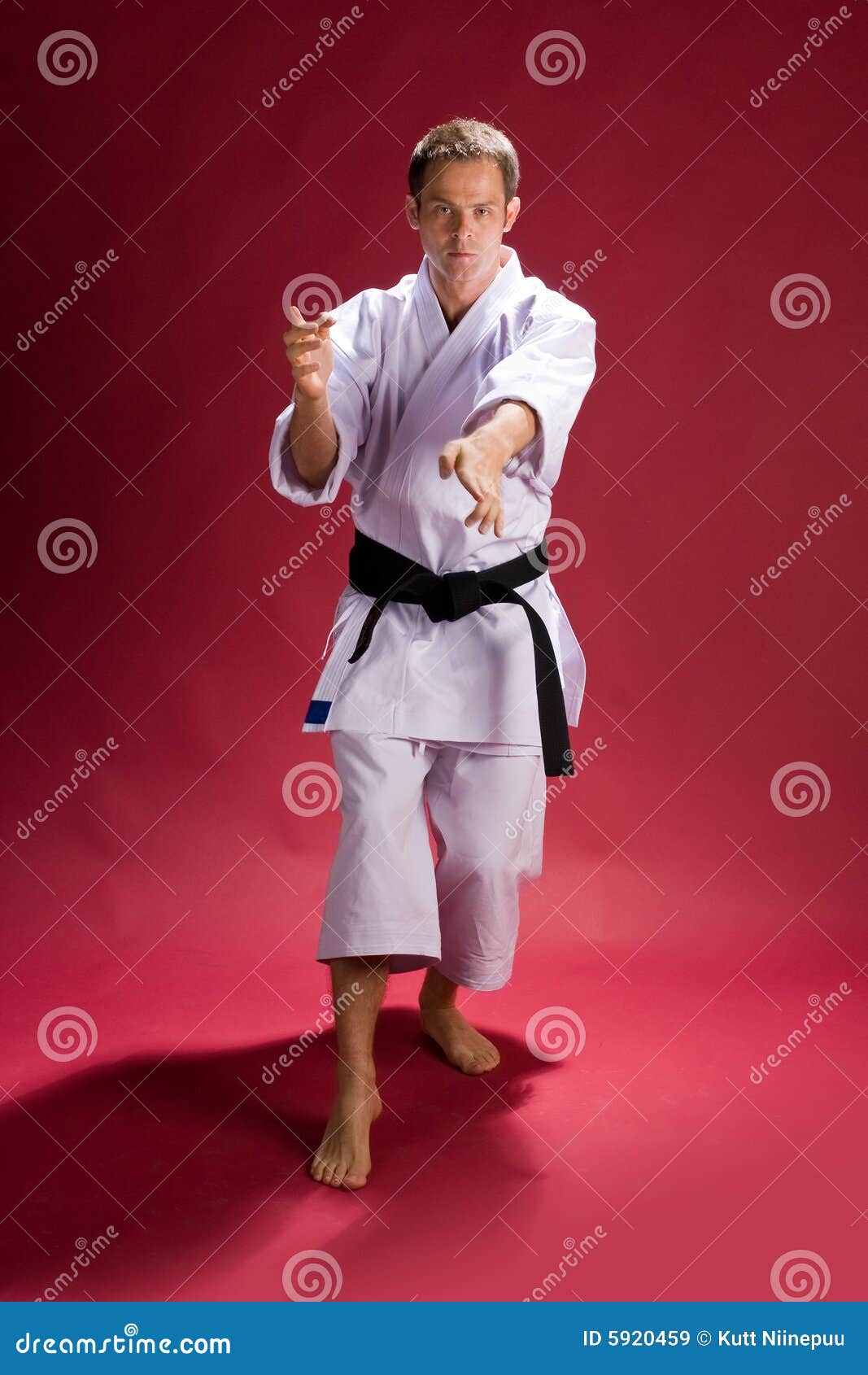 Karate Action stock image. Image of striking, level, black 5920459