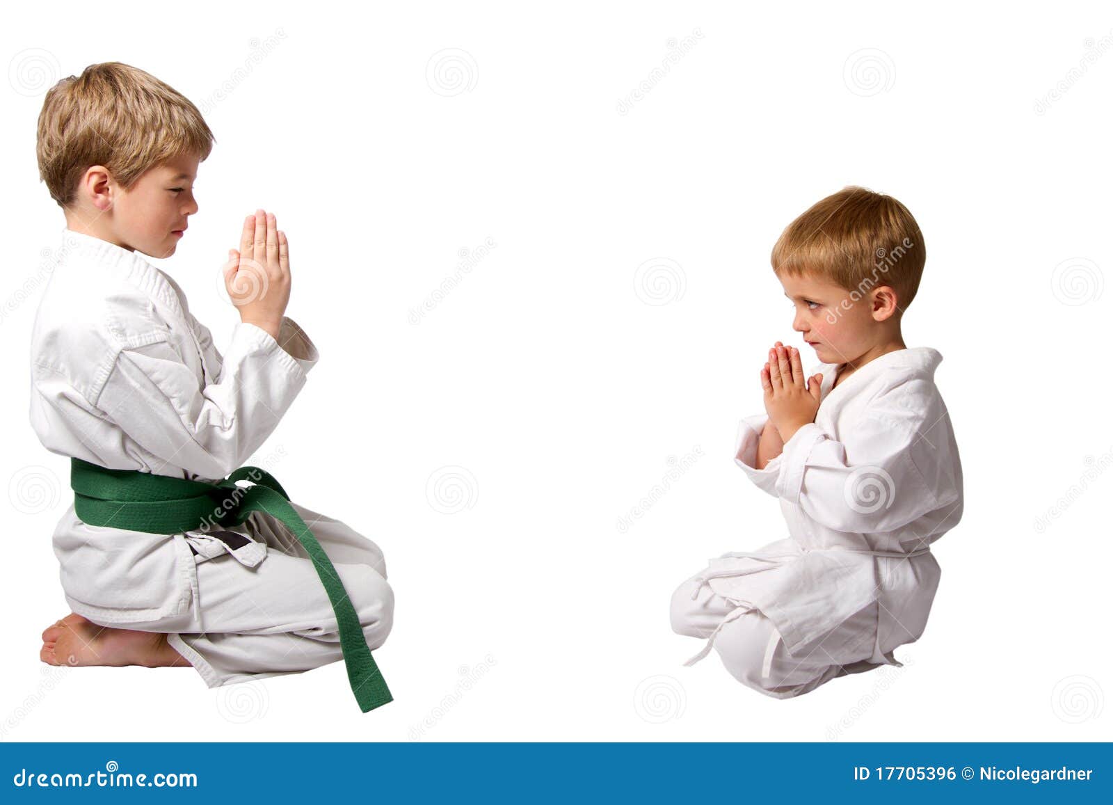 Karate Buddies Bowing Royalty Free Stock Image Image 17705396