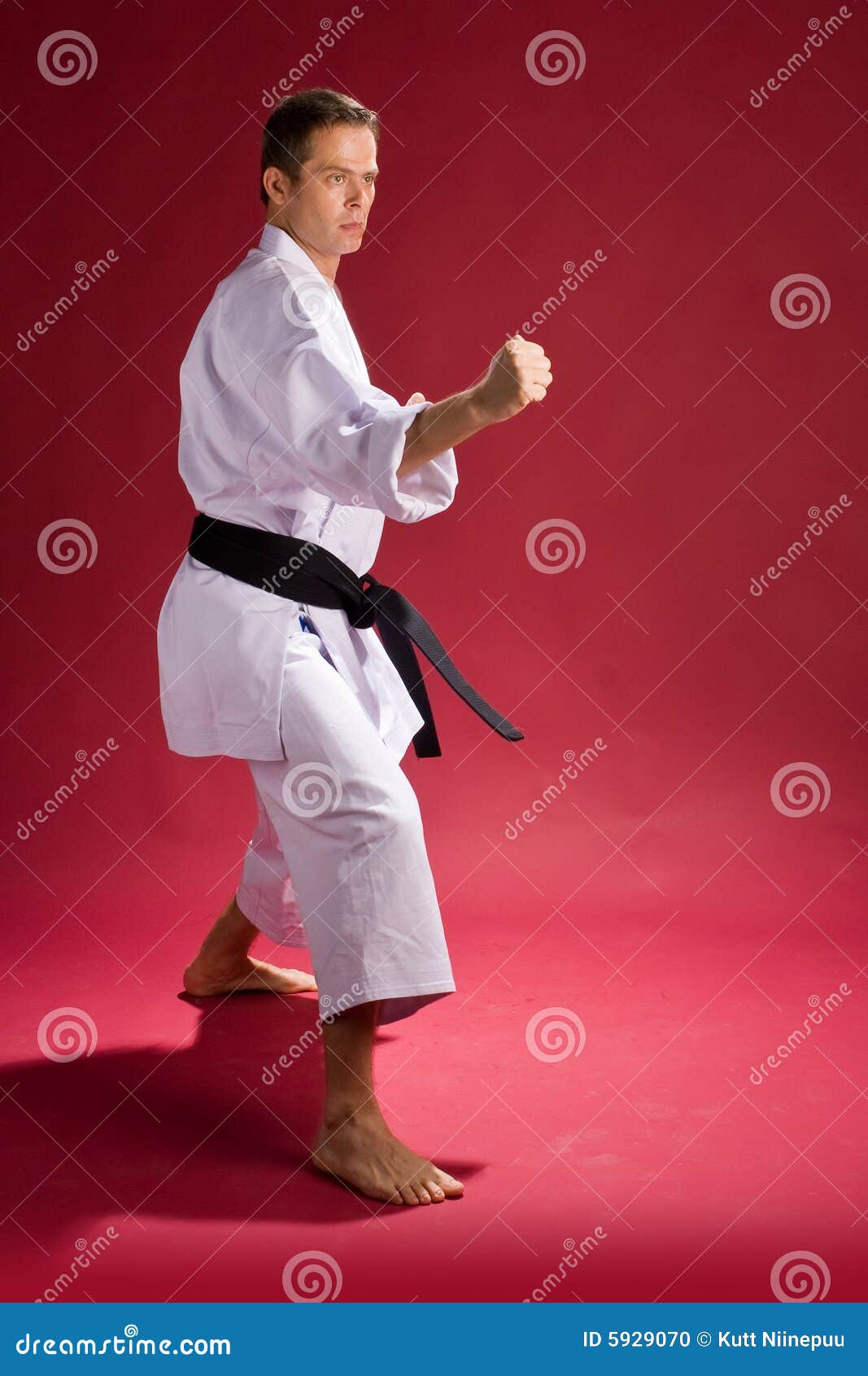 Karate Fighter stock photo. Image of attack, sports, posed - 5929070