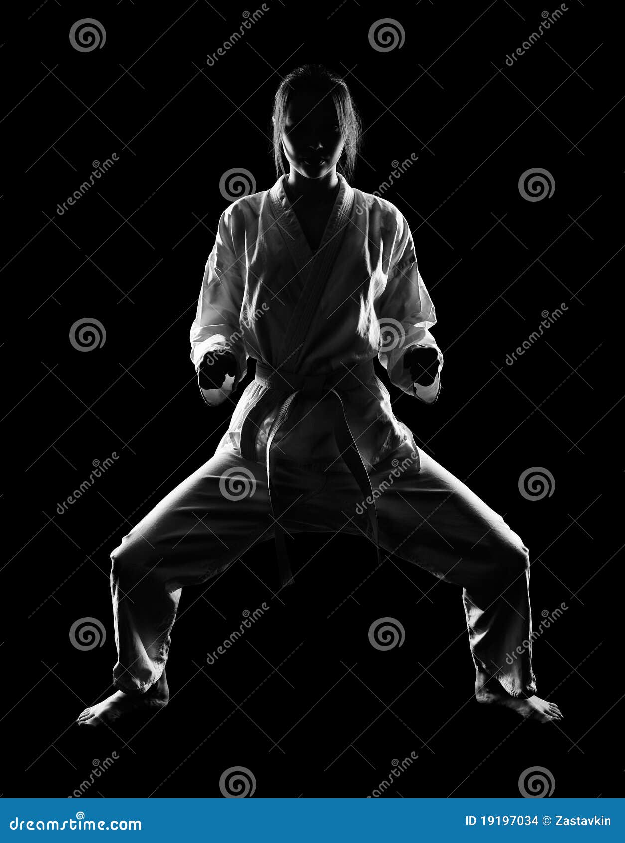 Karate Girl Stock Images - Image: 19197034