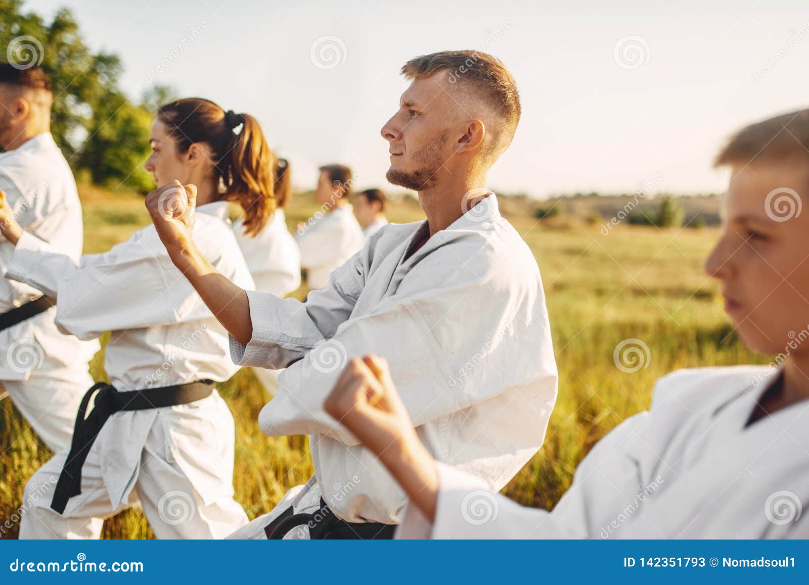 Karate Group on Training in Summer Field Stock Image - Image of adult