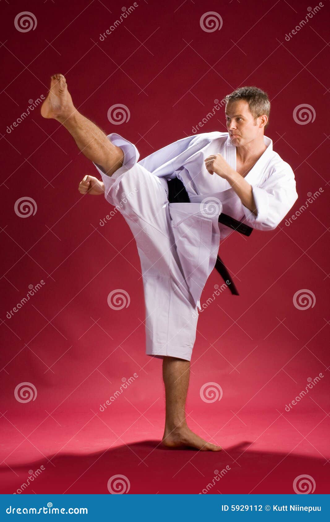 Karate Kick stock photo. Image of kick, fist, handsome 5929112