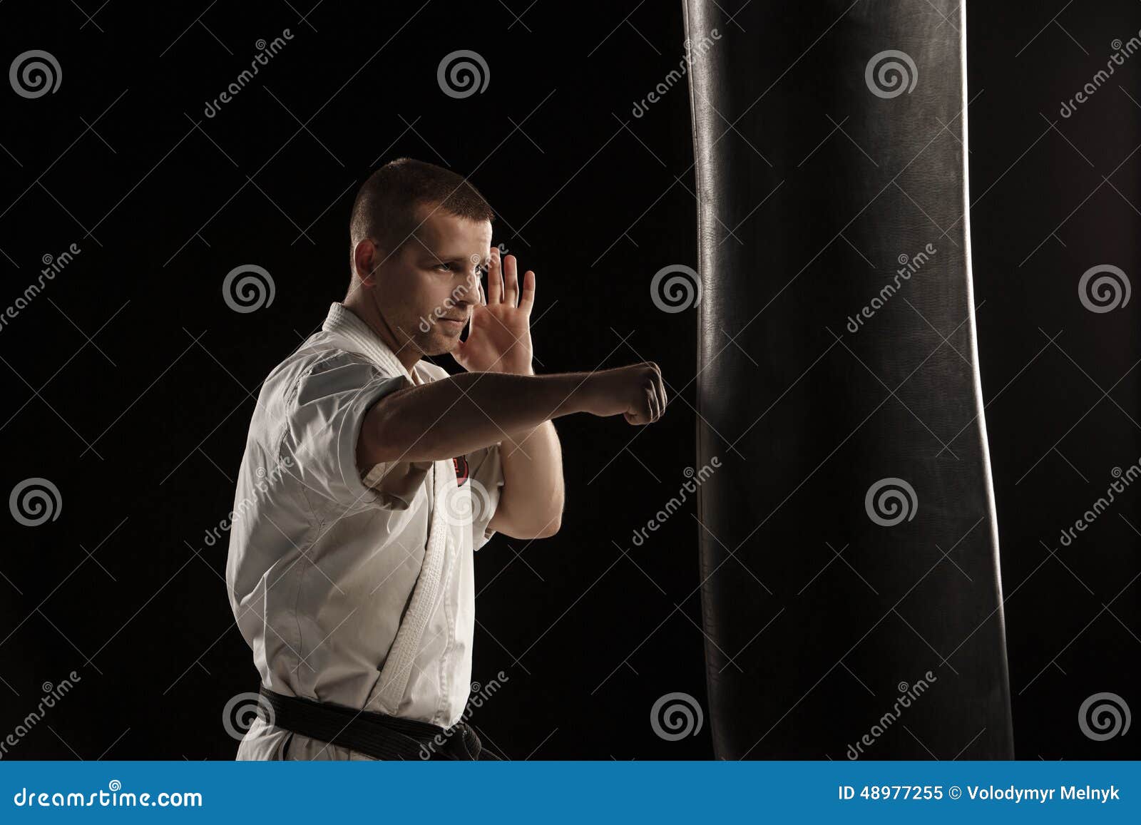 Karate Kick in a Punching Bag Stock Image Image of kick, person 48977255