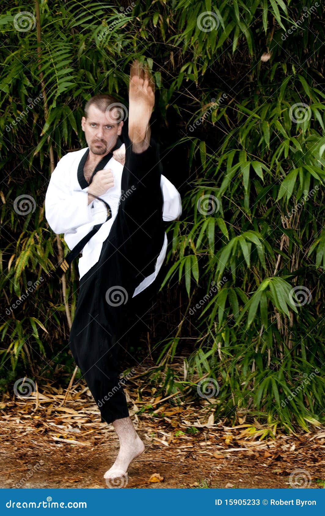 Karate Man stock image. Image of belt, fight, power, hand 15905233
