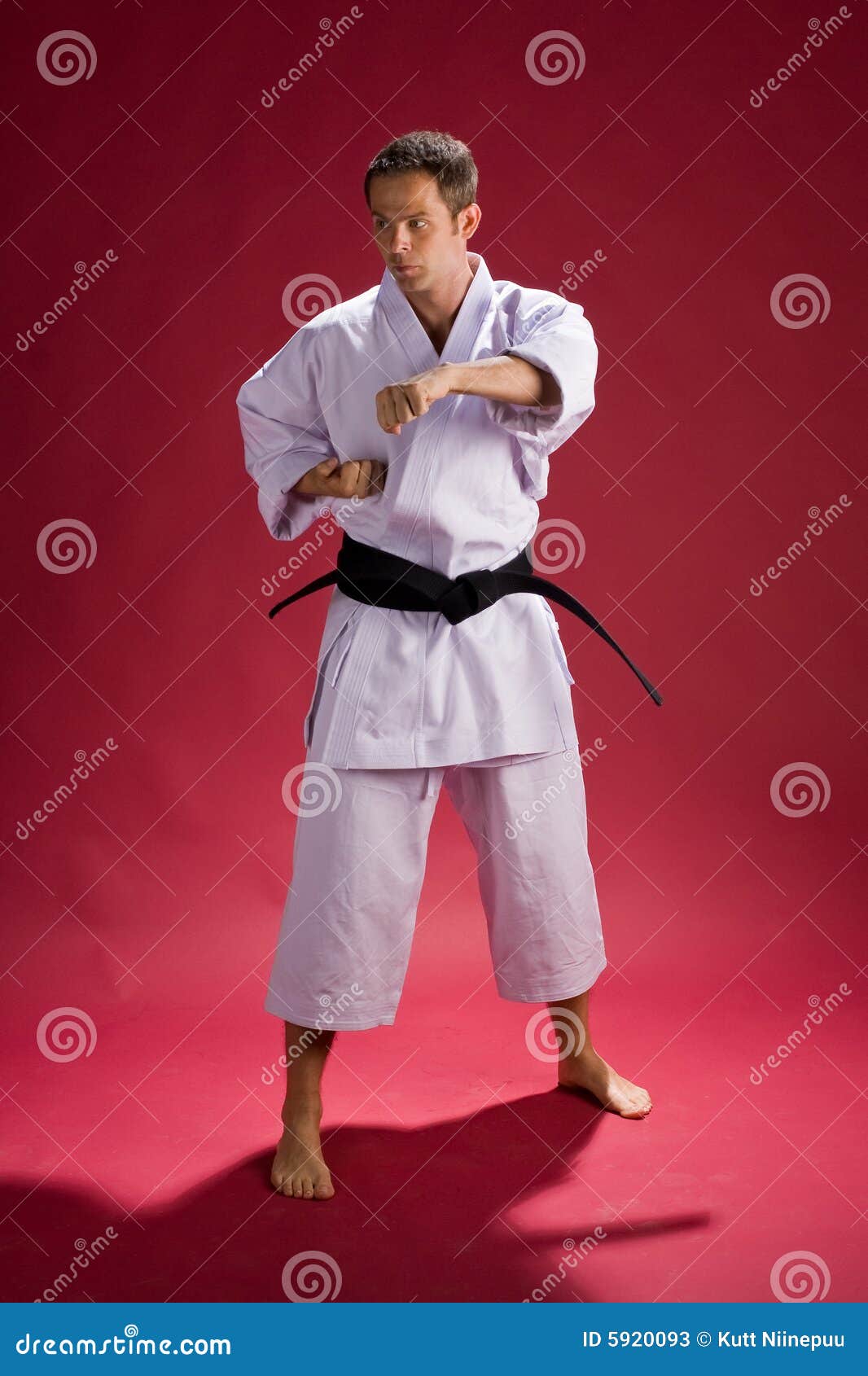 Karate Man Stock Photos - Image: 5920093