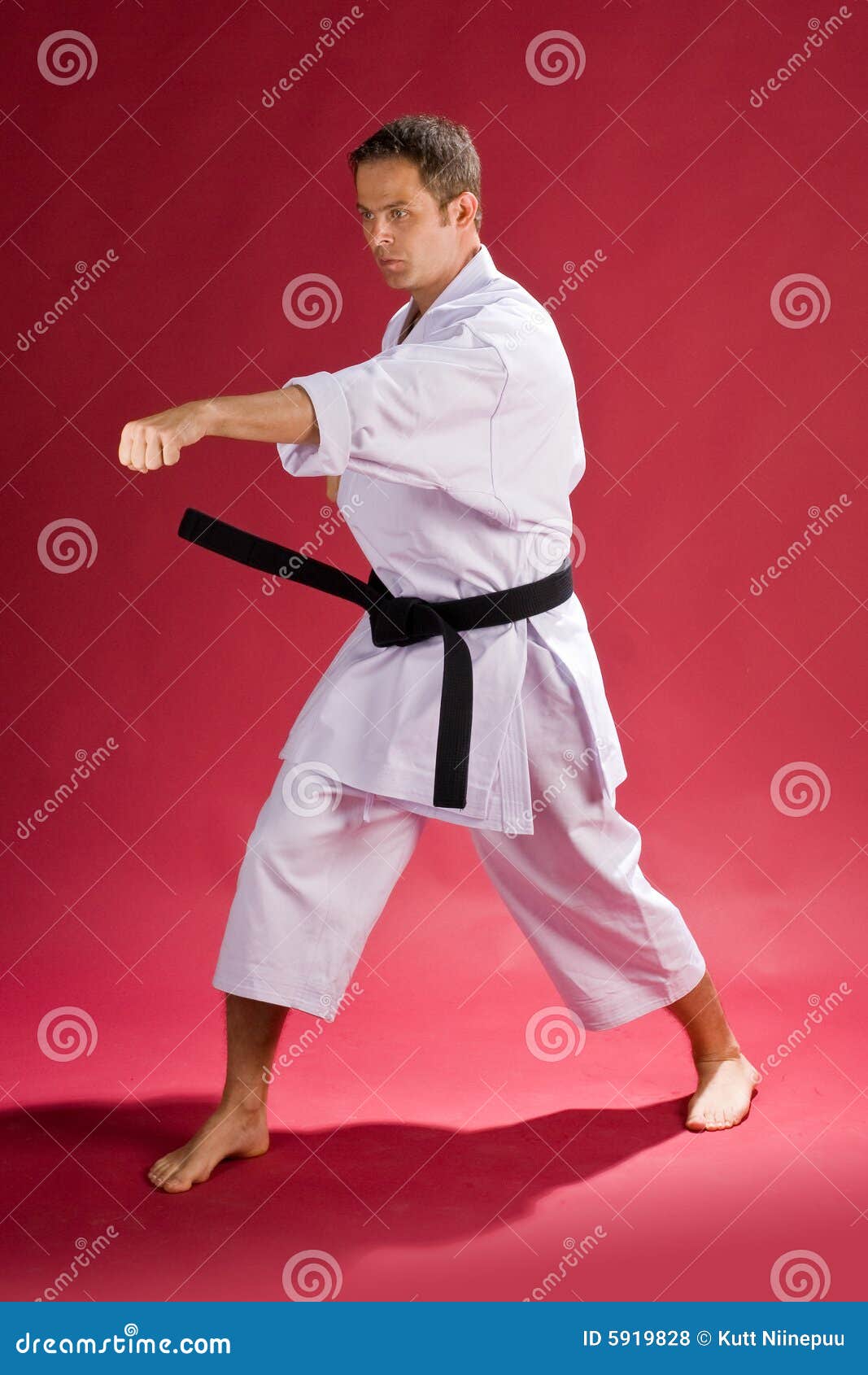 Karate man with black belt stock photo. Image of white - 5919828