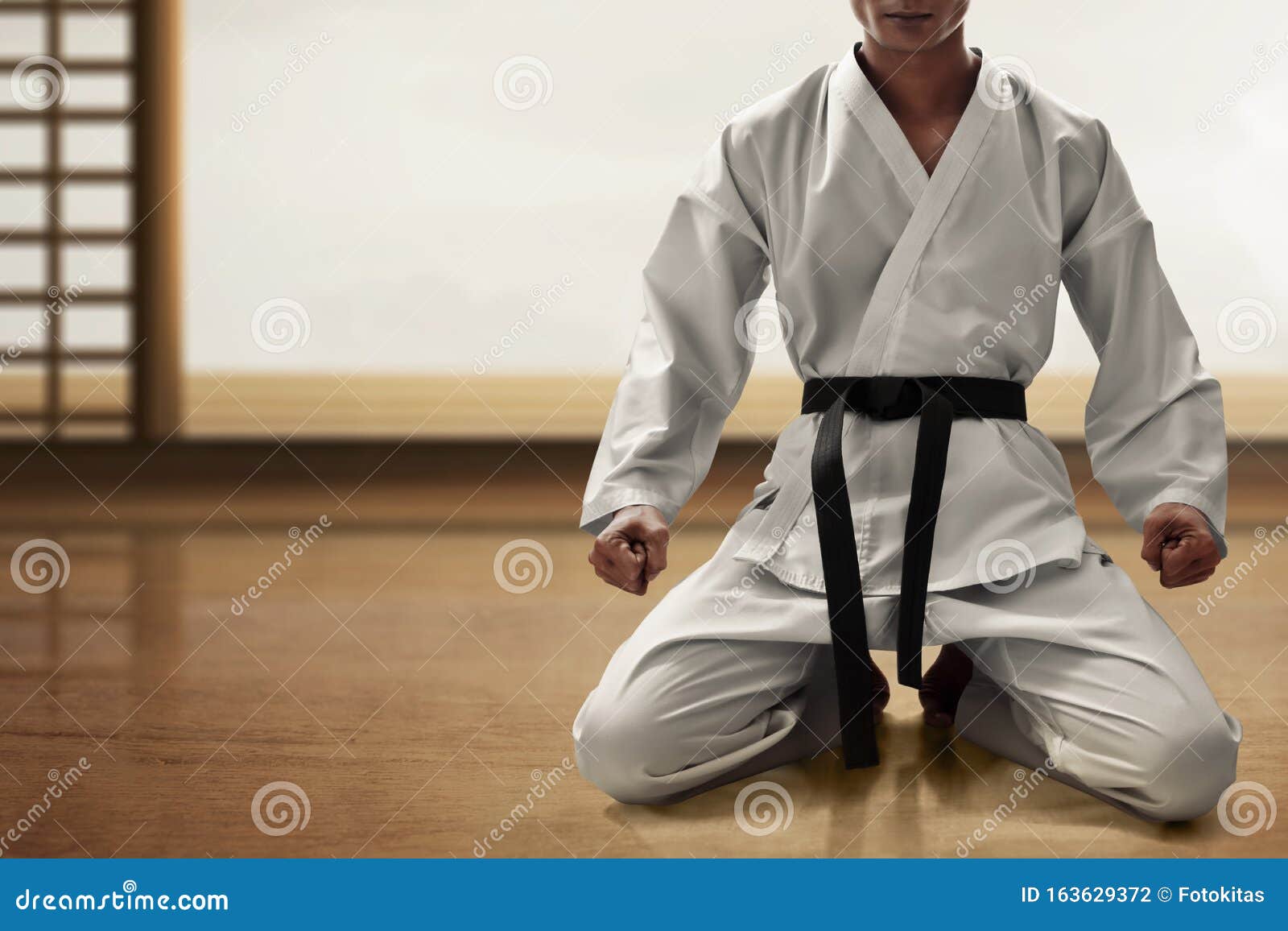 Best Of martial arts sitting techniques Karate boy in white kimono