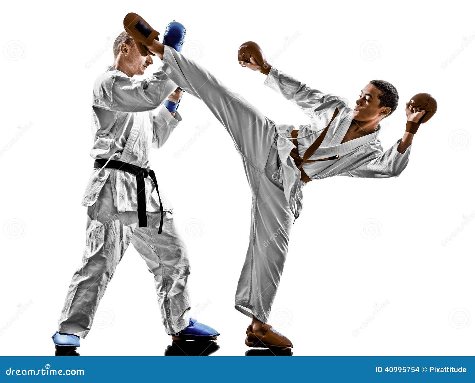 Karate Kid Teacher Fight Karate Kid Teacher Fight