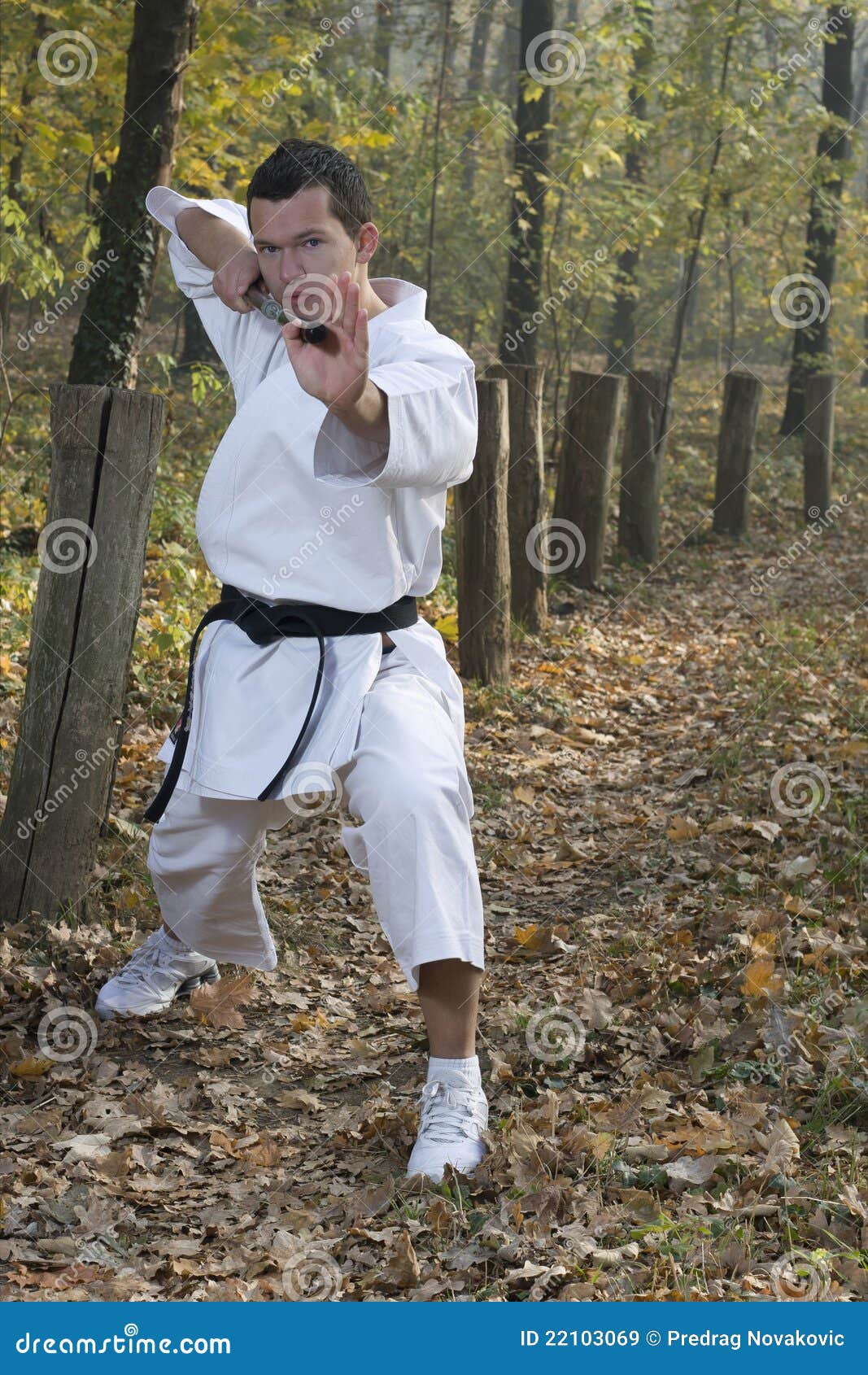 Karate and nunchaku stock image. Image of karate, strike 22103069