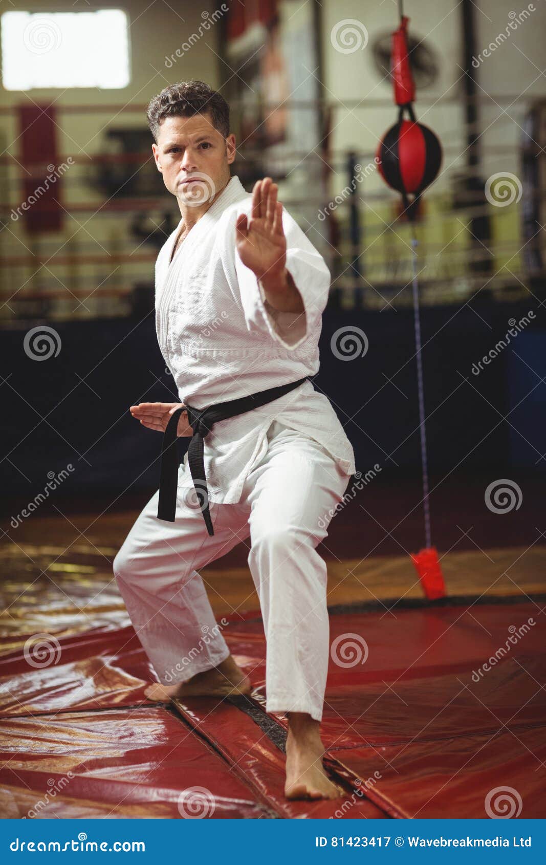 Karate Player Performing Karate Stance Stock Image - Image of leisure ...