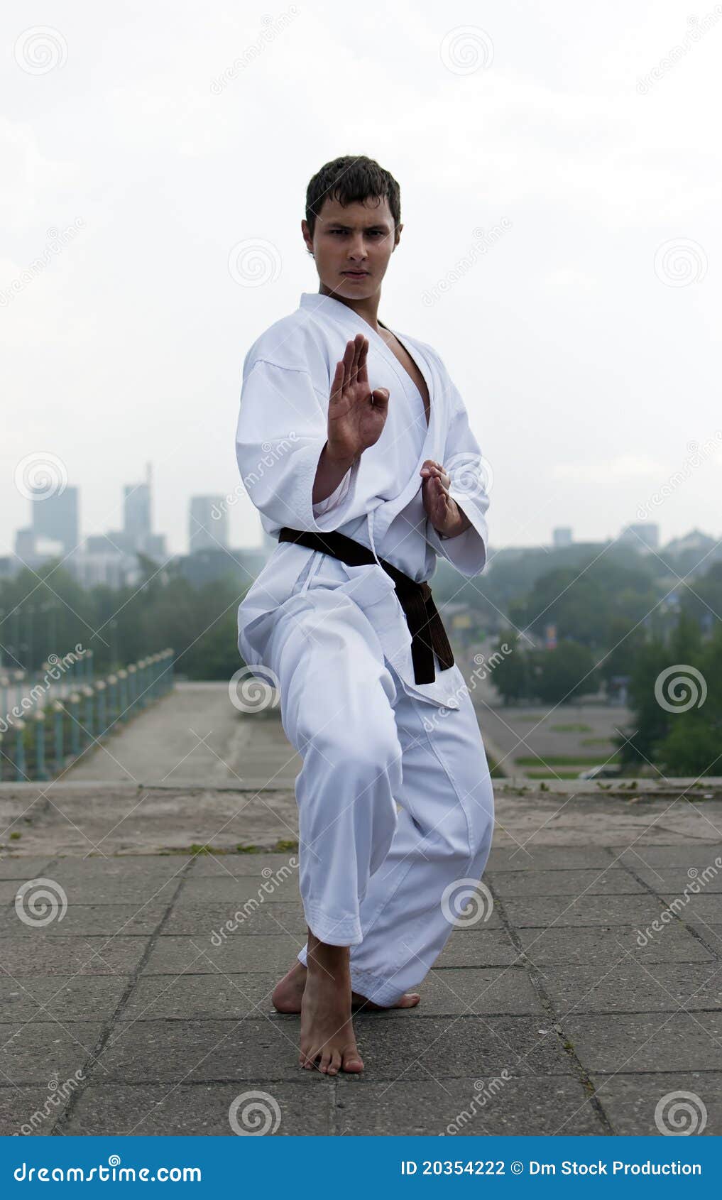 14 Basic Karate Stances Help You Build a Strong Base