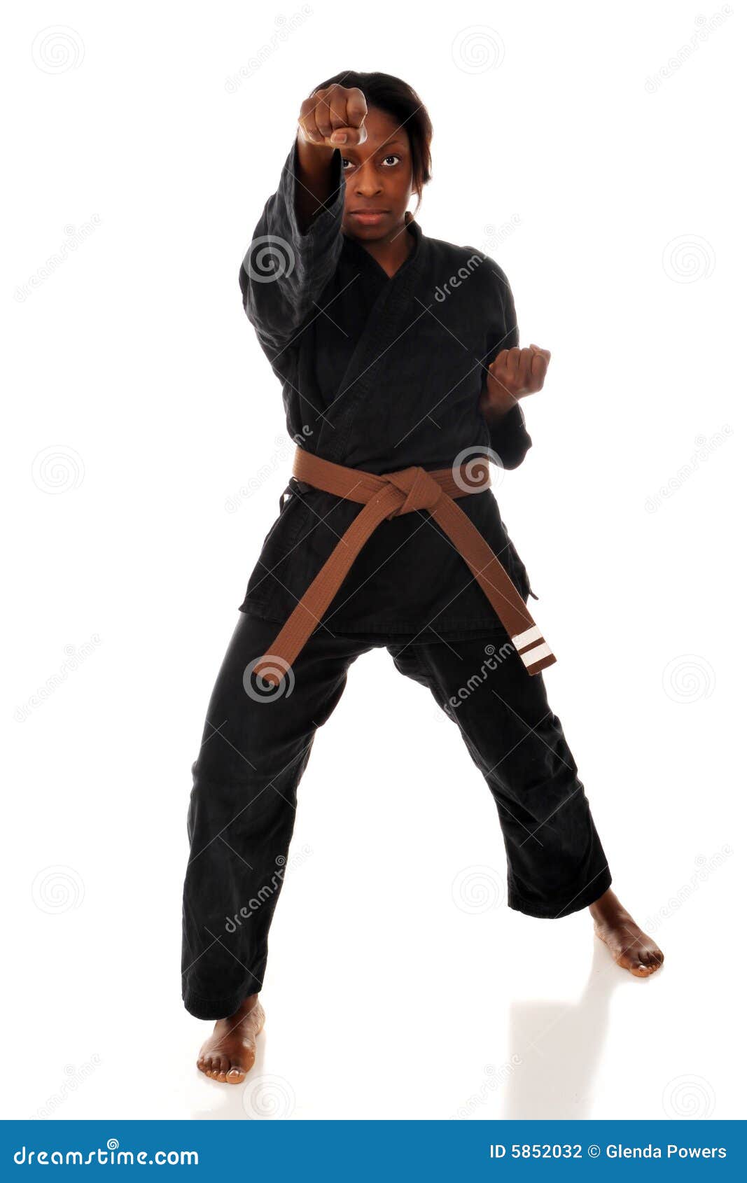 Karate Punch stock photo. Image of barefoot, defense, stance 5852032