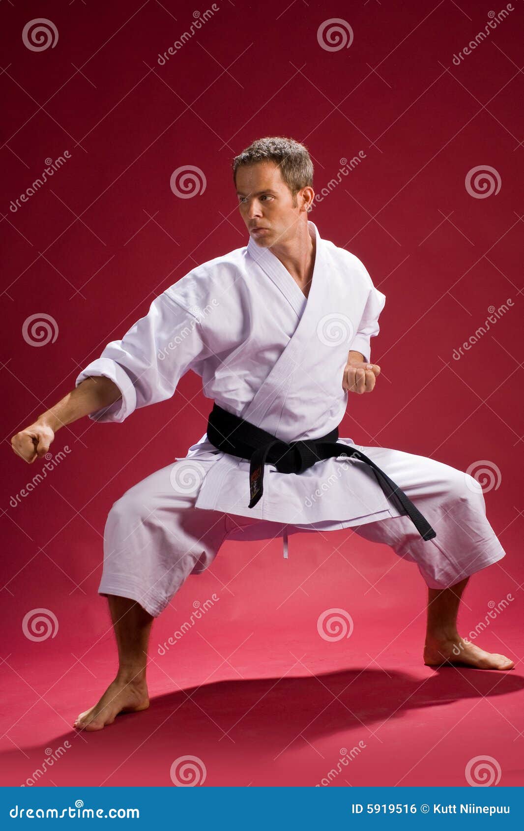 Karate stance stock photo. Image of attack, grade, male - 5919516