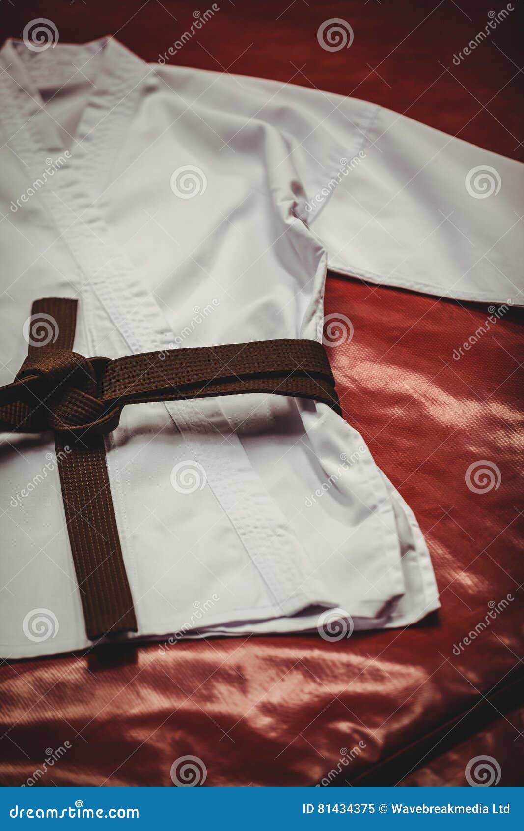 Karate Uniform and Brown Belt Stock Image Image of brown, judo 81434375