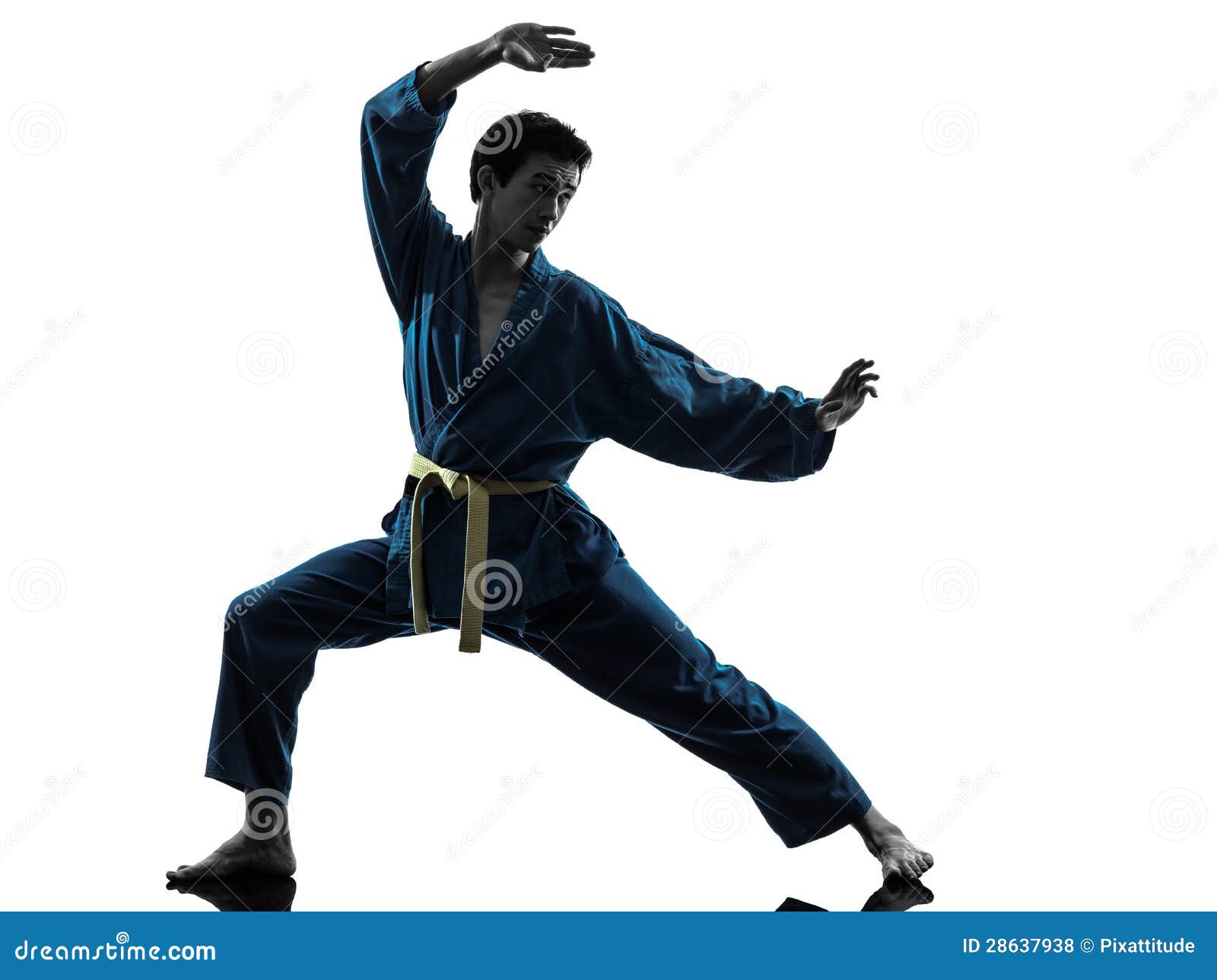karate vietvodao martial arts man silhouette