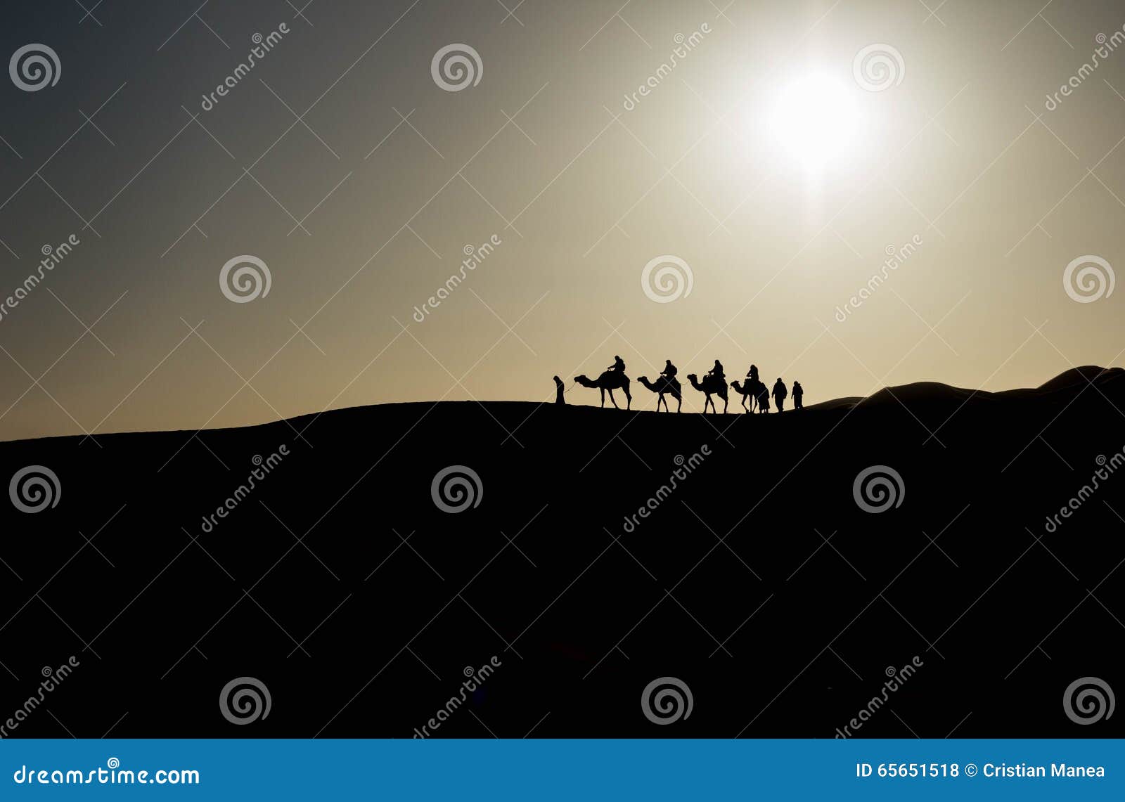 Karawana pustynny Sahara. Karawana w saharze wcześnie w ranku