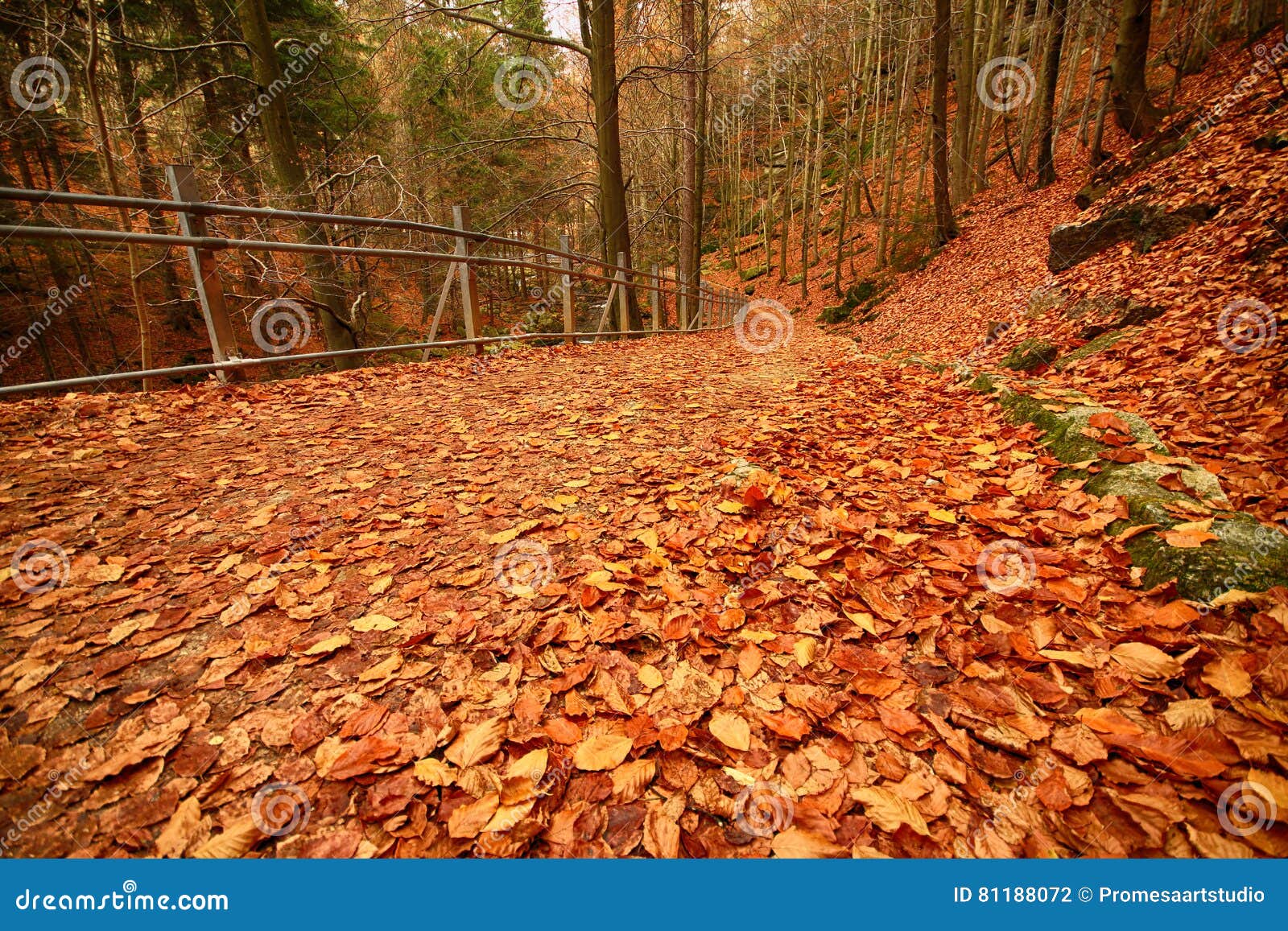 karkonoski national park, szklarska poreba, poland
