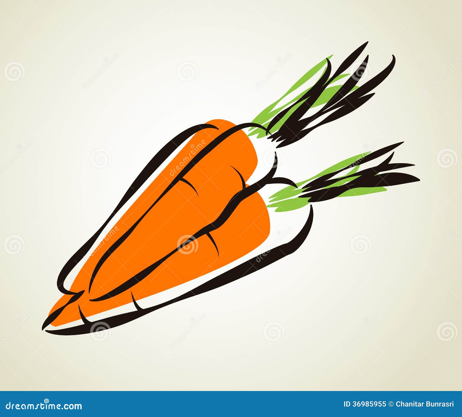 Karotte vektor abbildung. Illustration von abbildung - 36985955