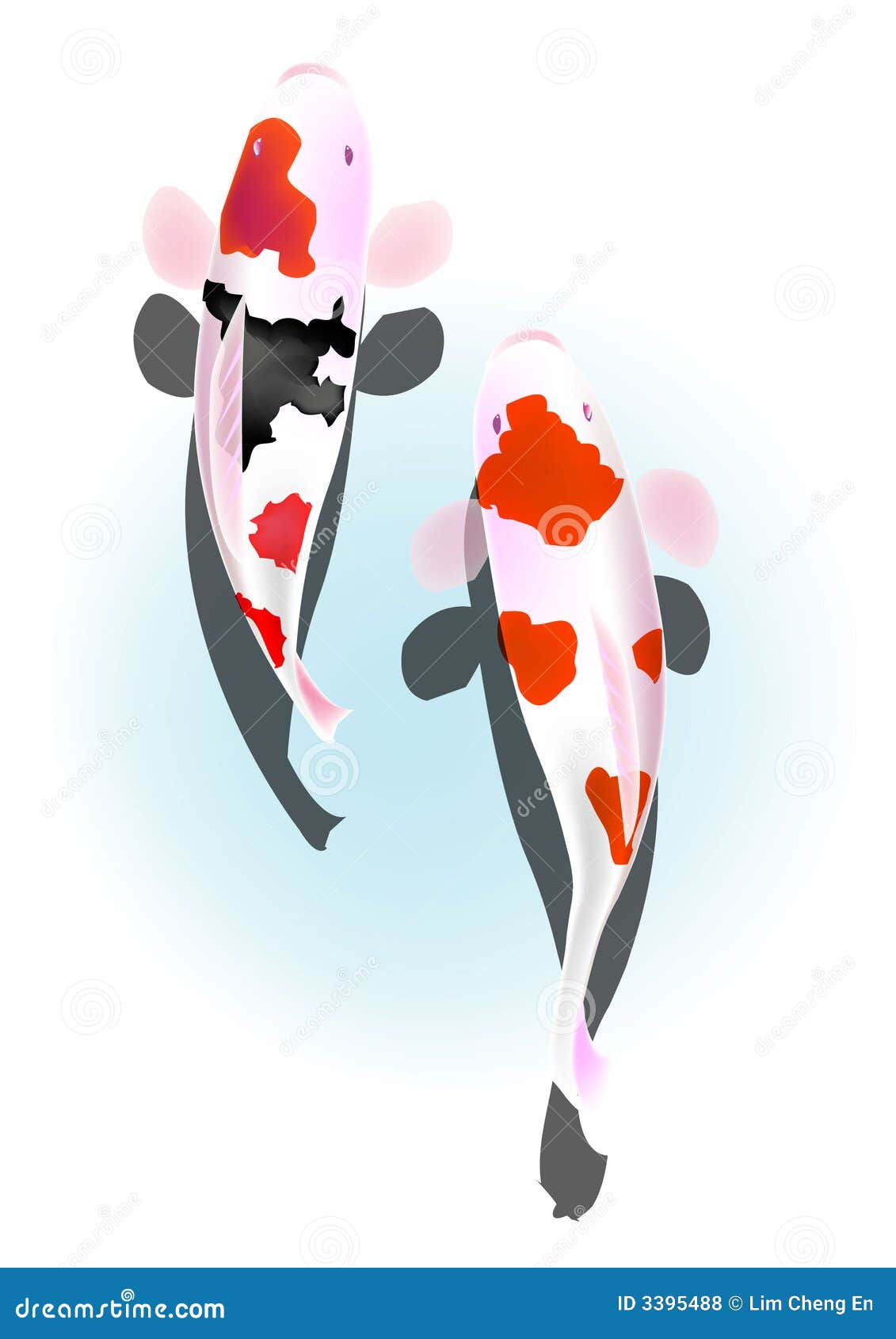 Karpfen, Fisch vektor abbildung. Illustration von festival