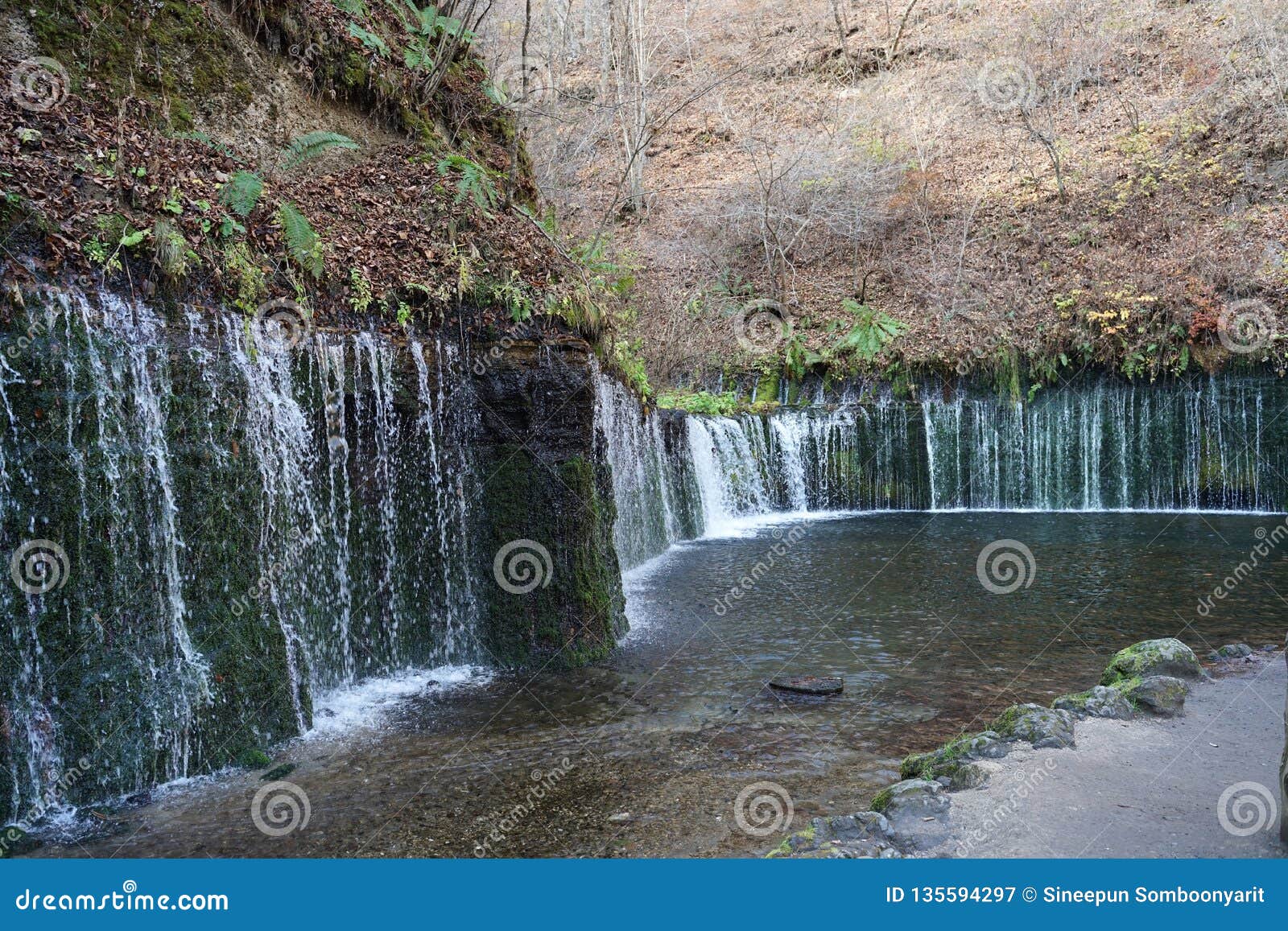 Karuizawa Shiraito Waterfalls Peaceful Natural Area Featuring A Small Arc Shaped Waterfall Framed By Mountain Slopes Stock Image Image Of Nagano Karuizawa