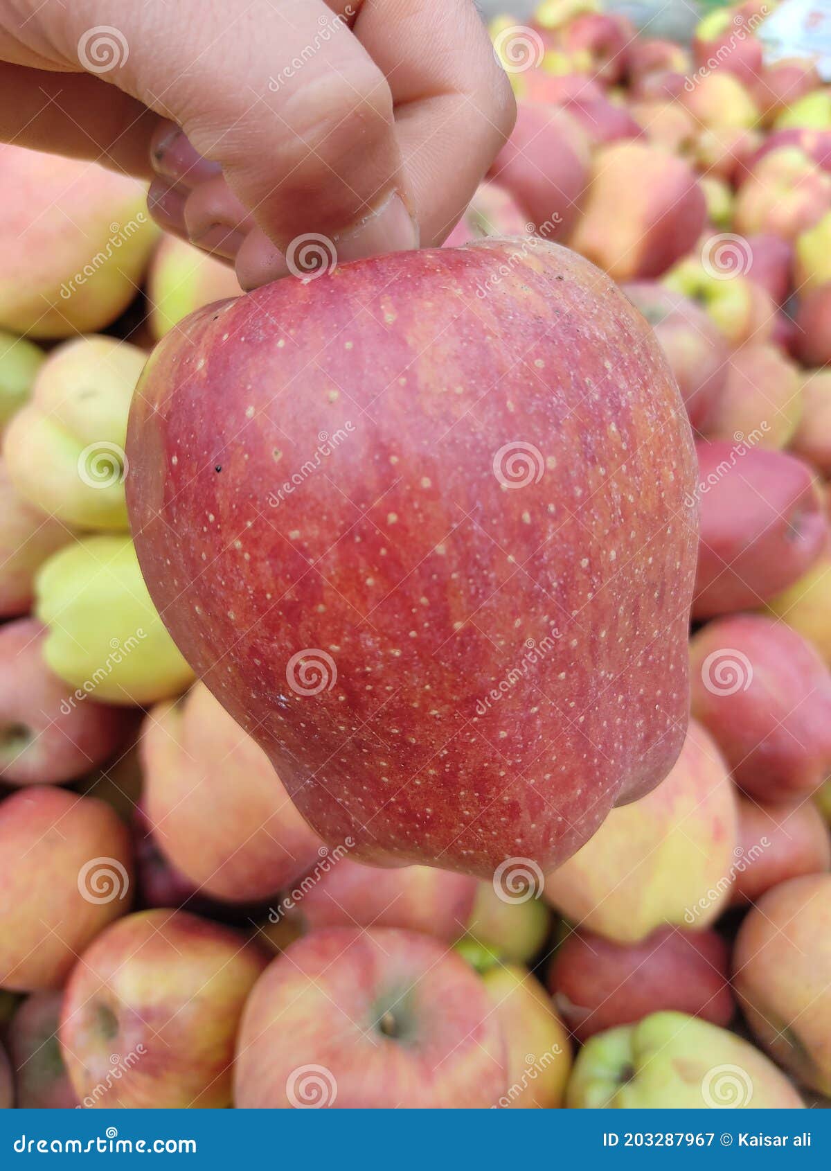 Kashmiri delicious apple, stock image. Image of strawberry 203287967