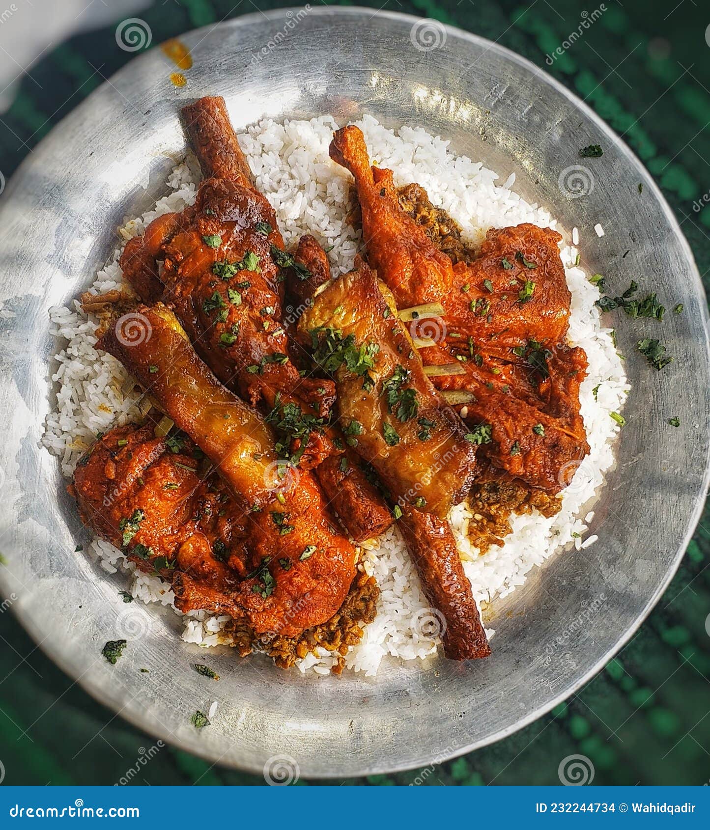 Kashmiri wazwan foto de archivo. Imagen de tradicional 232244734