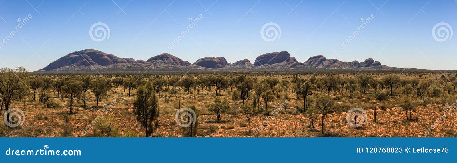 panoramic view on the olgas from afar, northern territory, australia