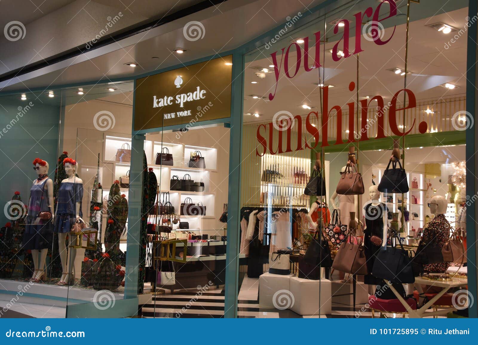 119 Kate Spade Store Stock Photos - Free & Royalty-Free Stock Photos from  Dreamstime