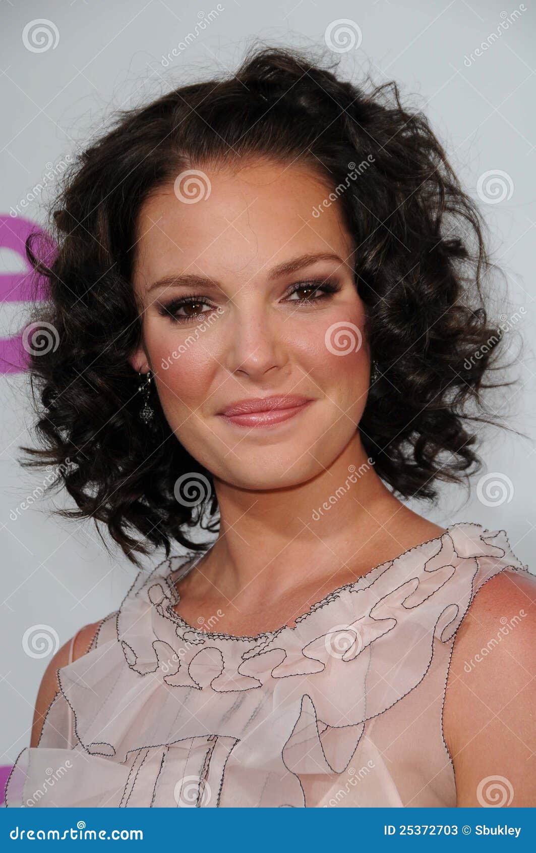 Katherine Heigl editorial stock photo. Image of katherine 25372703