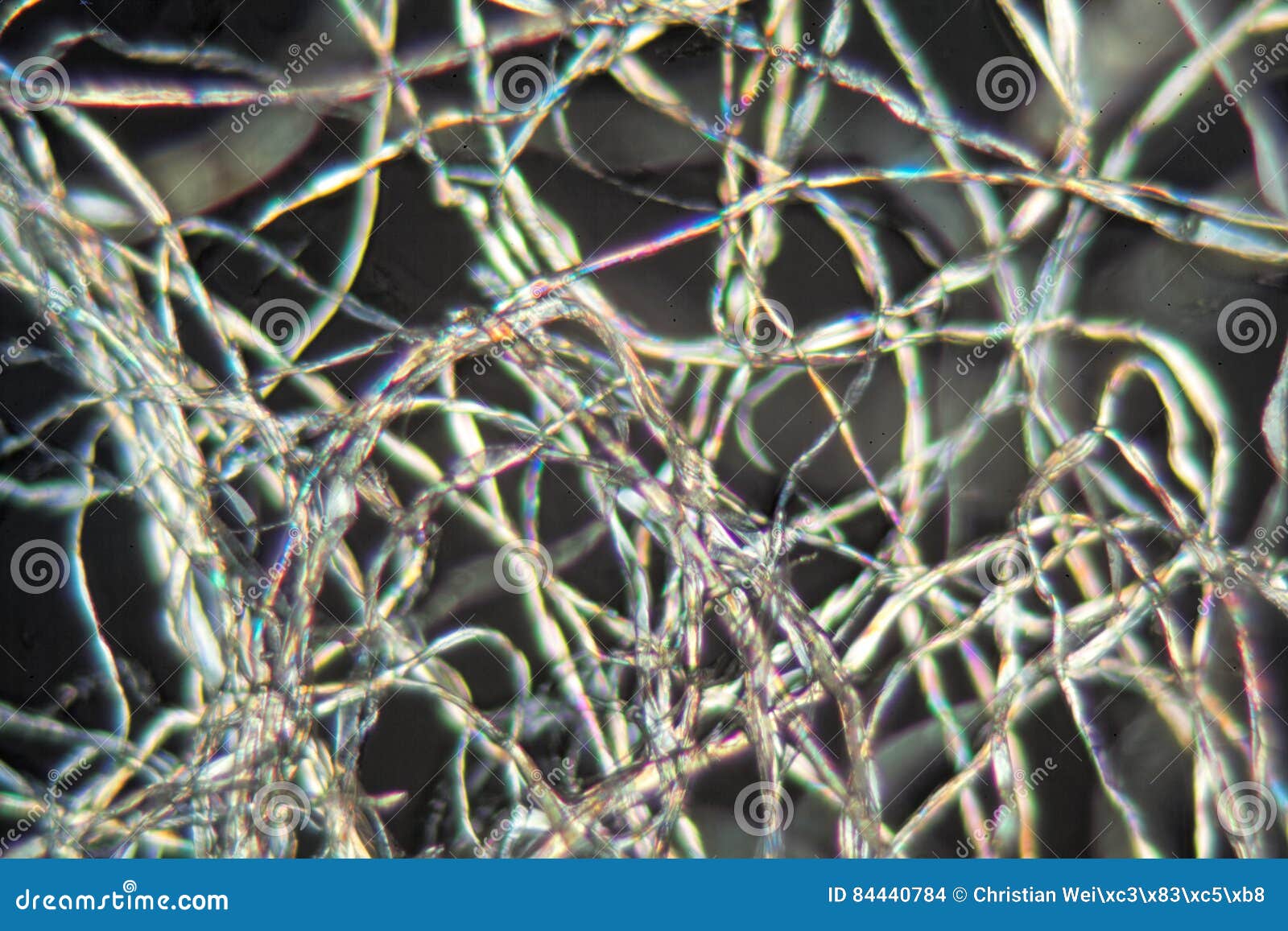 Katoenen Vezels Onder De Microscoop Stock Foto - Image Of Textuur, Vezel: 84440784