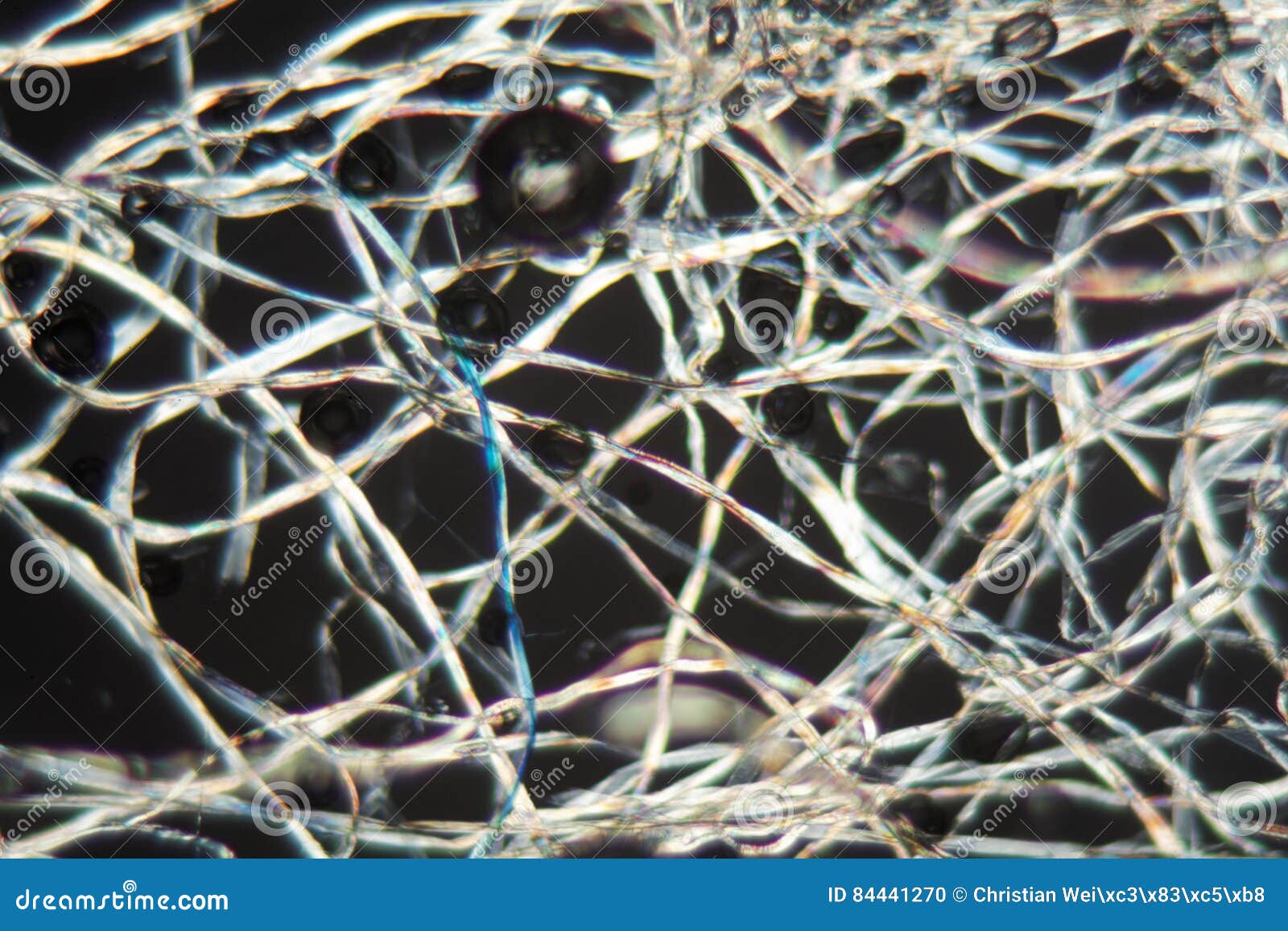 Katoenen Vezels Onder De Microscoop Stock Foto - Image Of Sluit, Microscoop: 84441270