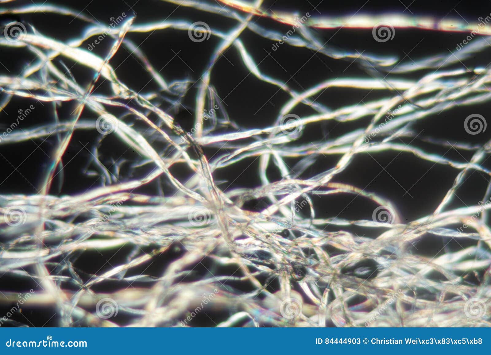 Katoenen Vezels Onder De Microscoop Stock Afbeelding - Image Of Microvezel, Textuur: 84444903